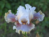 /album/a55/impressioni-di-settembre-augusto-bianco-r-2010-jpg/